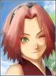sakura haruno